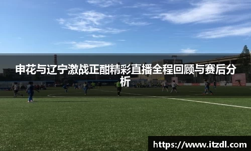 申花与辽宁激战正酣精彩直播全程回顾与赛后分析